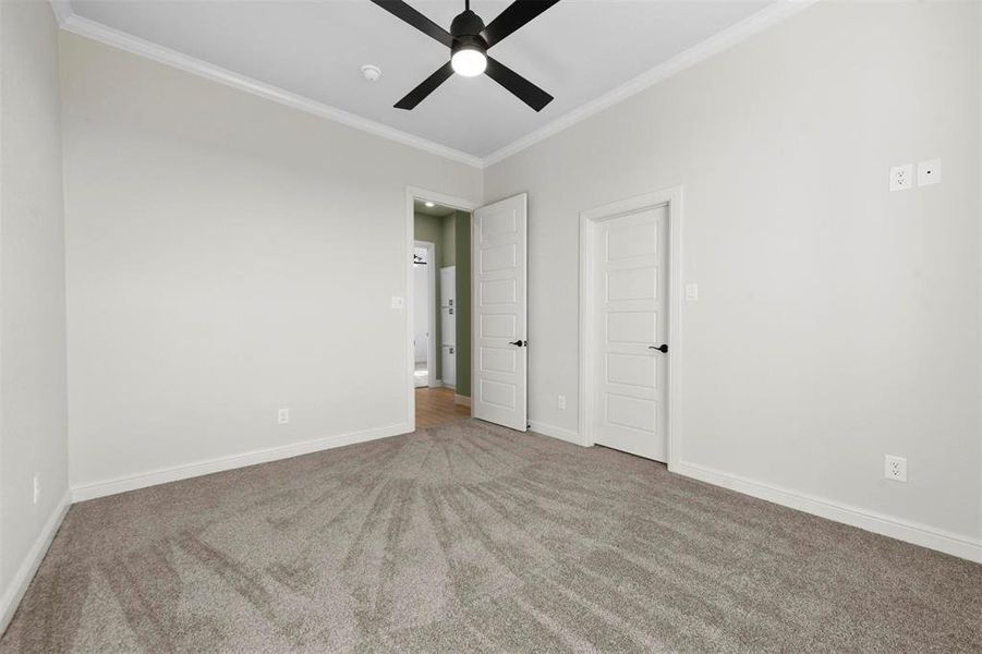 Spare room with carpet flooring, ceiling fan, and ornamental molding