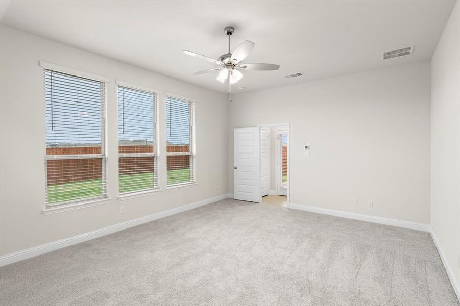 19. 6208 Havature - Primary