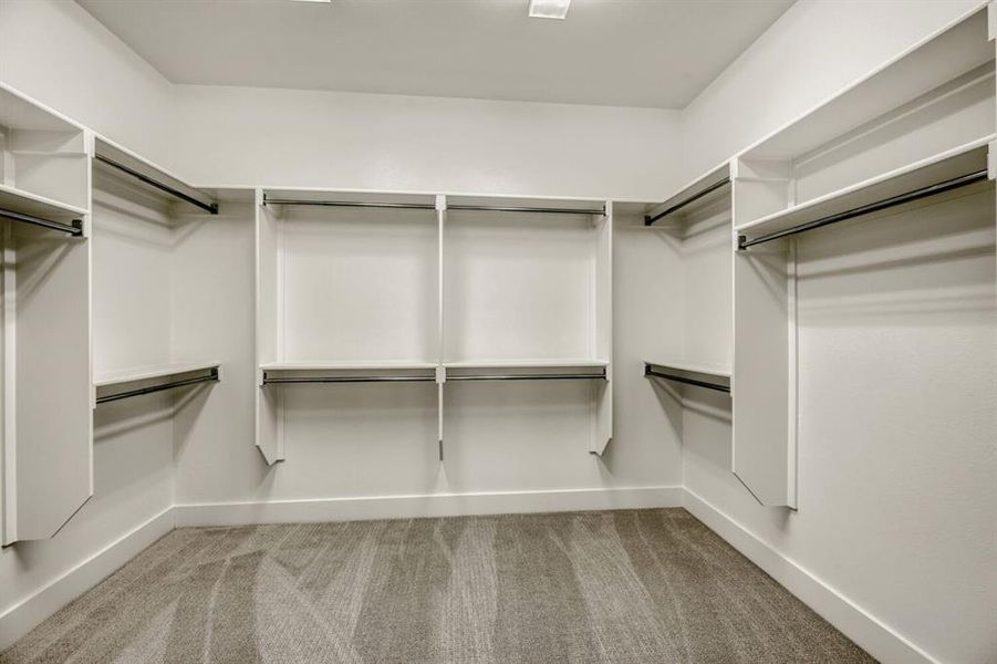 Walk in closet with light carpet