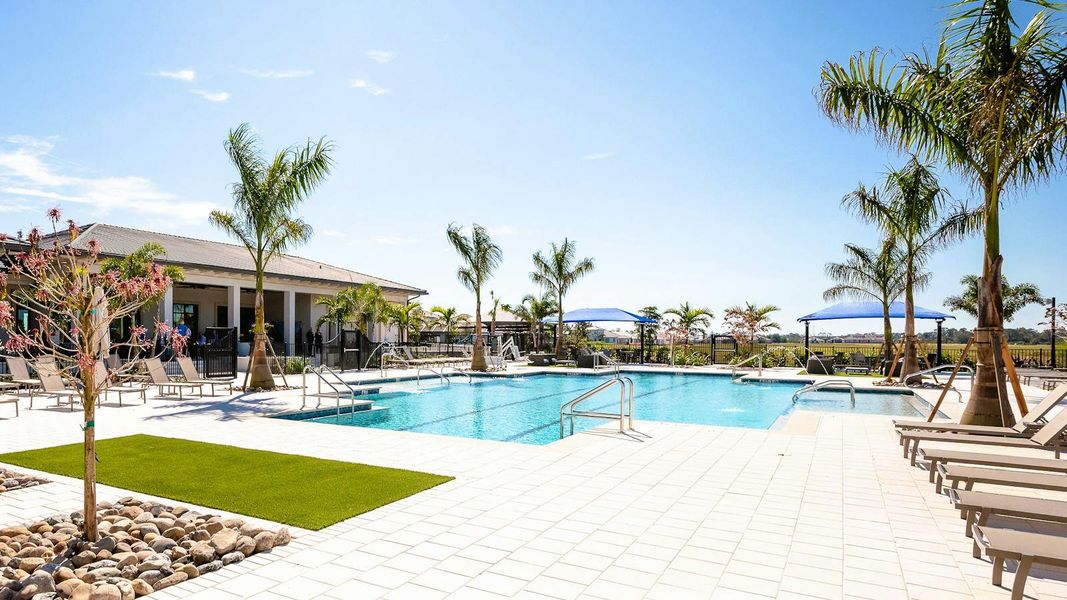 Community amenities in Vistera of Venice Real Estate and Homes for Sale in Venice, FL - Neal Communities, Nokomis (Image 41). Community amenities in Vistera of Venice Real Estate and Homes for Sale in Venice, FL - Neal Communities, Nokomis (Image 41).