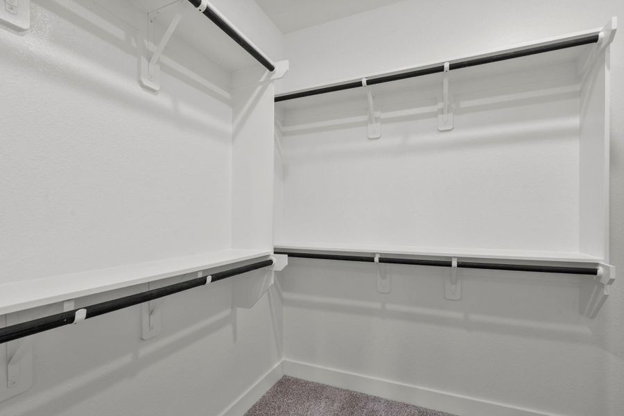 Spacious, unfurnished interior of a new home in Meridiana, Iowa Colony (Image 22).