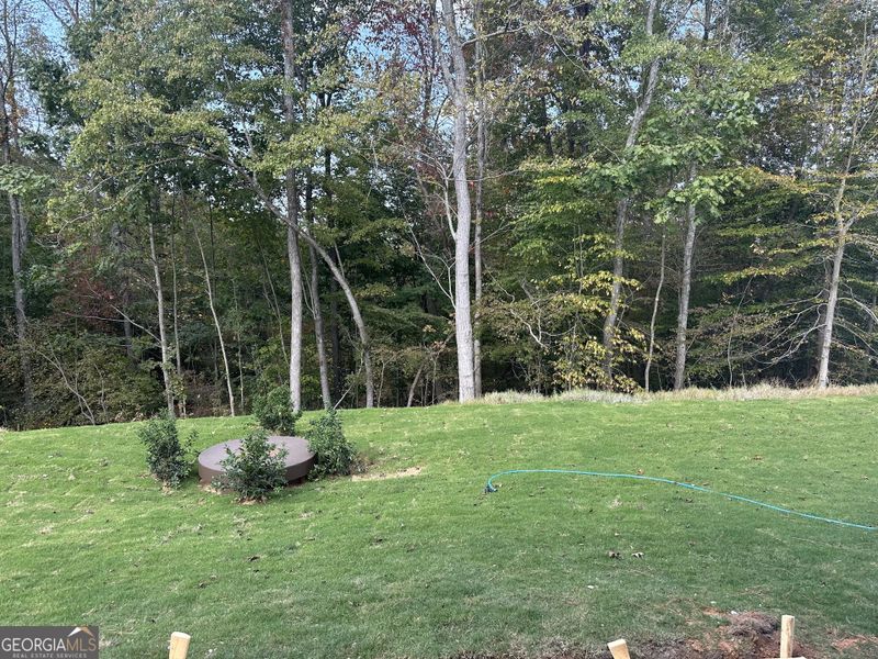 Natural landscape and outdoor views near Millstone at Mundy Mill in Gainesville (Image 29).