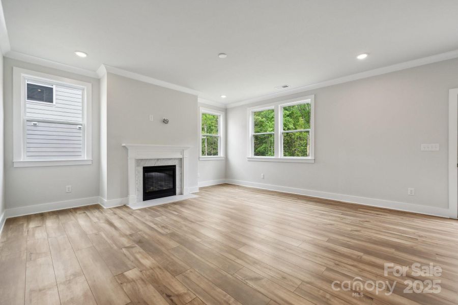 Representative picture