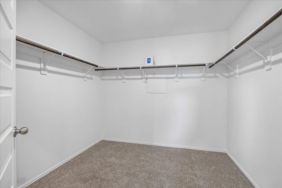 Spacious walk-in closet with carpet flooring and ample hanging space on three walls.