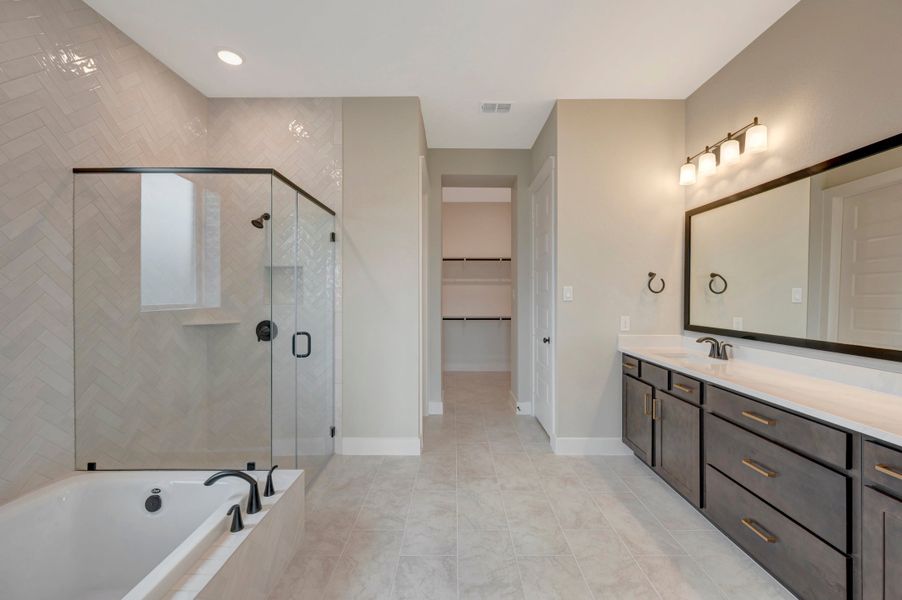 Owner's Bath