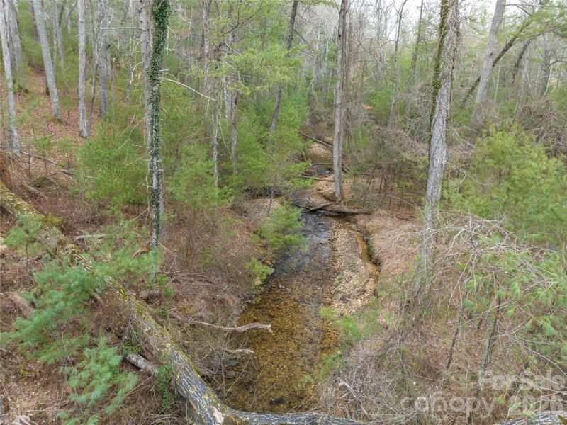 Natural landscape and outdoor views near  in Asheville (Image 32).