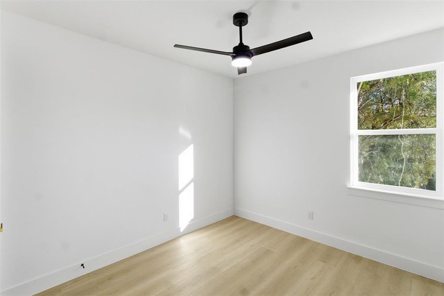 Unfurnished room with light wood-type flooring and ceiling fan