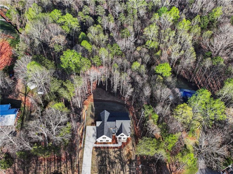 Natural landscape and outdoor views near  in Gainesville (Image 67).