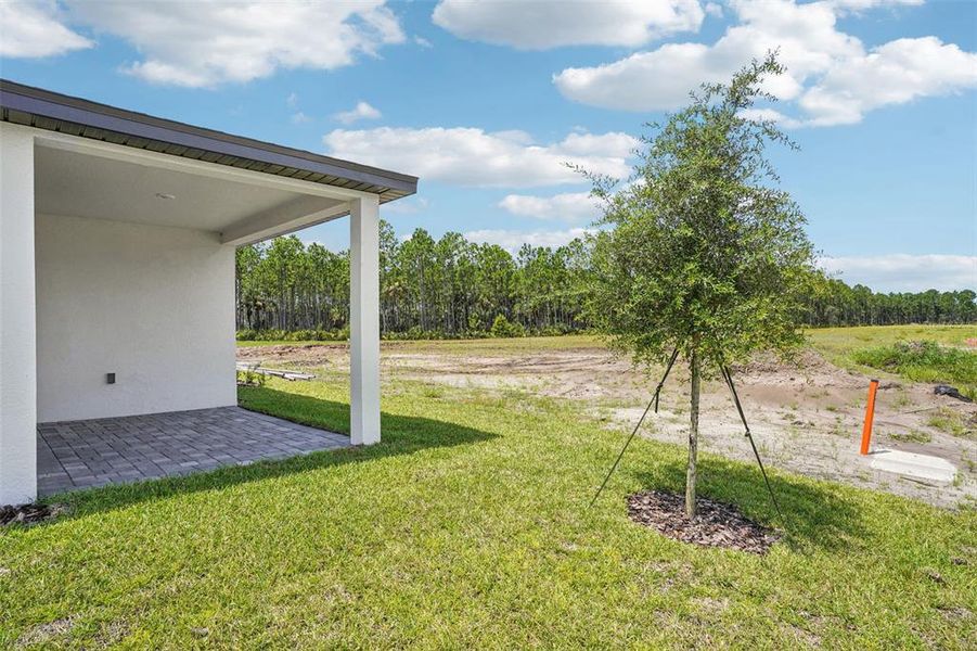 Exterior details and patio area of a home in Ridgehaven - Villas, Ormond Beach (Image 20).