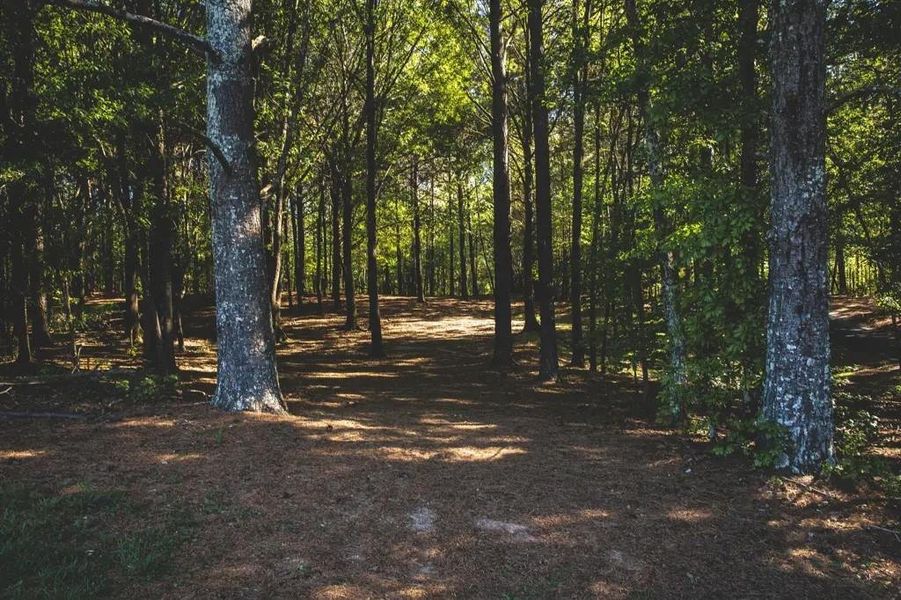 Natural landscape and outdoor views near Sweetbay Farm in Lawrenceville (Image 65).