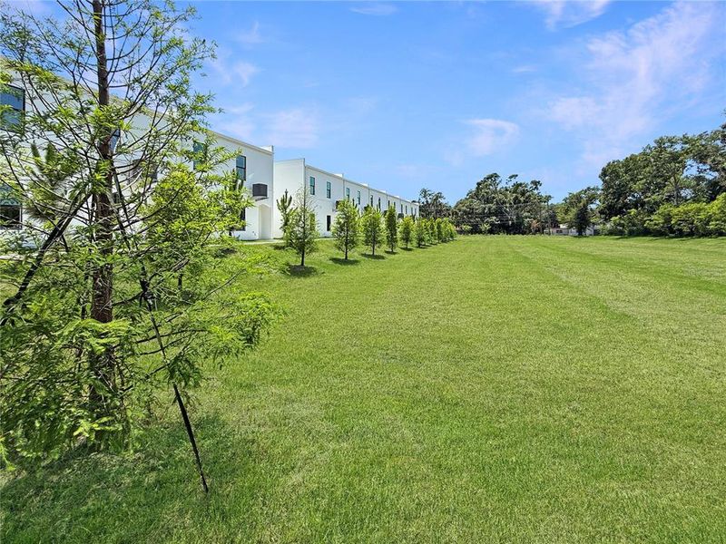 Natural landscape and outdoor views near  in Tampa (Image 30).