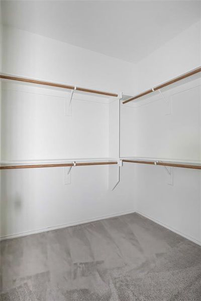 Spacious closet with carpet flooring