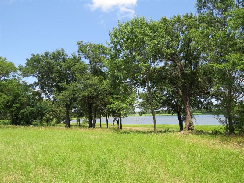 Natural landscape and outdoor views near  in Emory (Image 27).