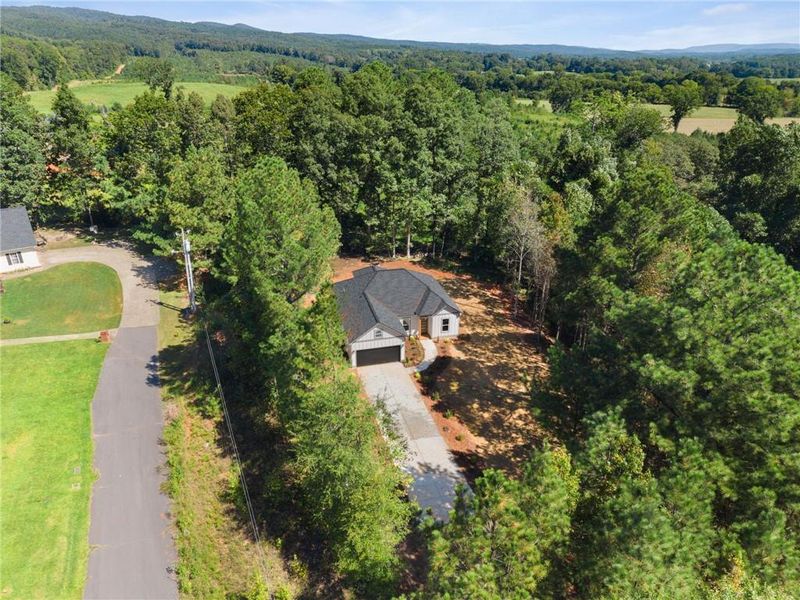 Natural landscape and outdoor views near  in Summerville (Image 43).