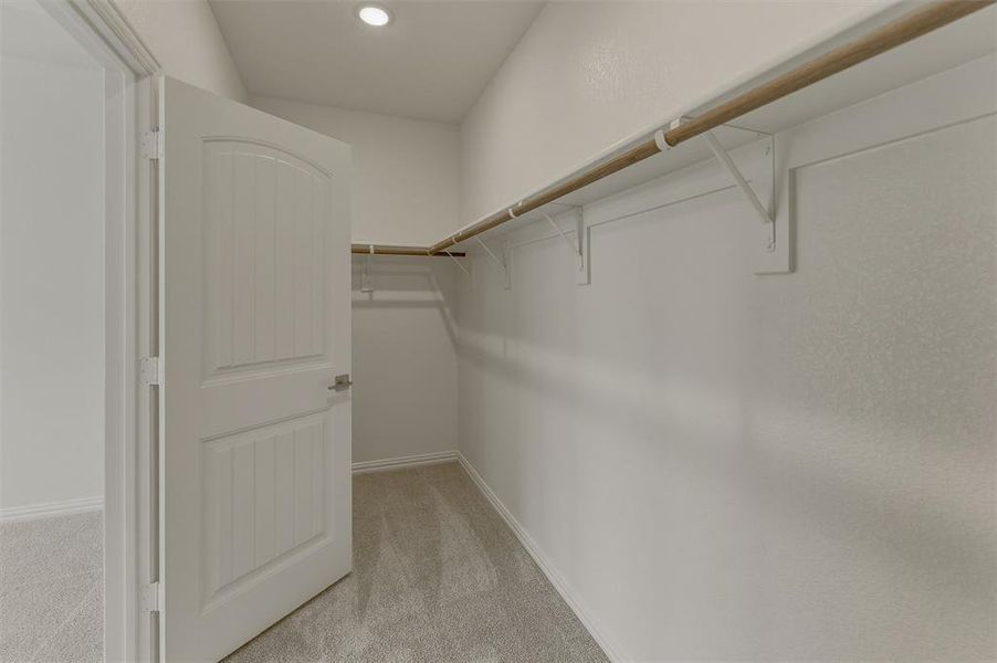 Spacious walk-in closet featuring light grey carpeting, white walls, and built-in shelving with hanging rods