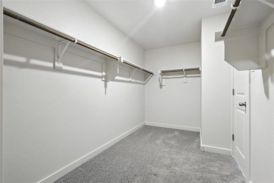 Walk in closet with carpet floors