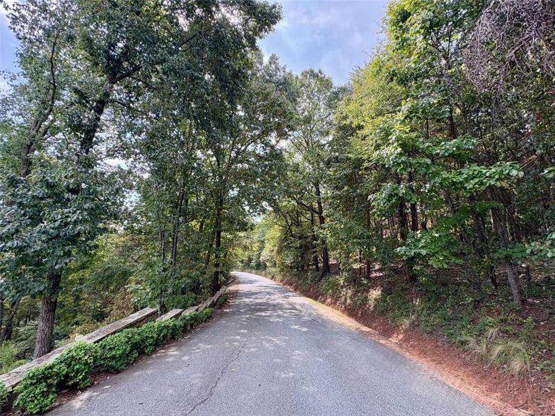 Natural landscape and outdoor views near  in Dahlonega (Image 3).