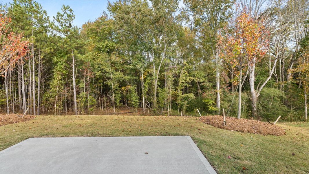 Natural landscape and outdoor views near WillowBrook in Bethlehem (Image 34). Natural landscape and outdoor views near WillowBrook in Bethlehem (Image 34).