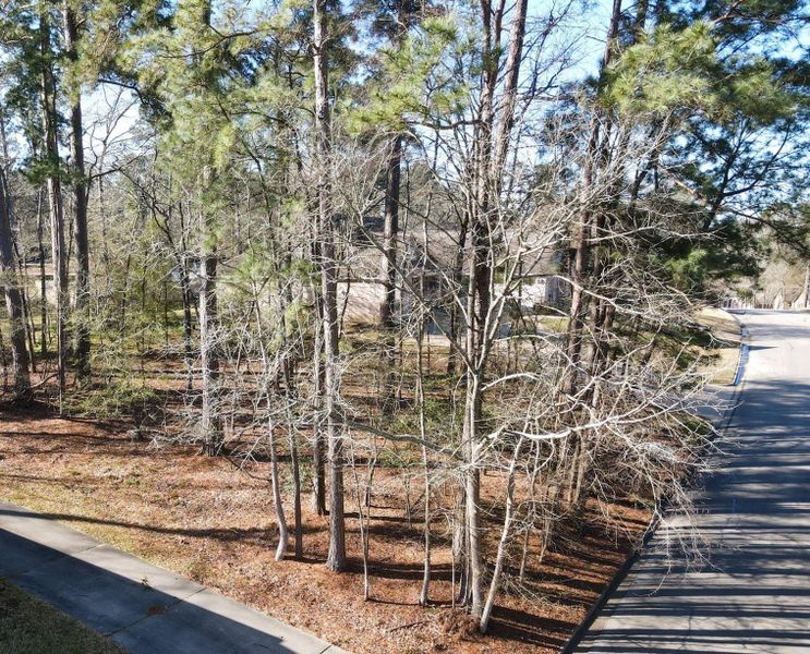 Nestled in the heart of Elkins Lake sits the location of your dream home.