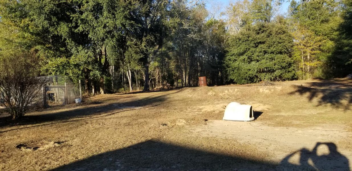 Natural landscape and outdoor views near  in Varnville (Image 27).