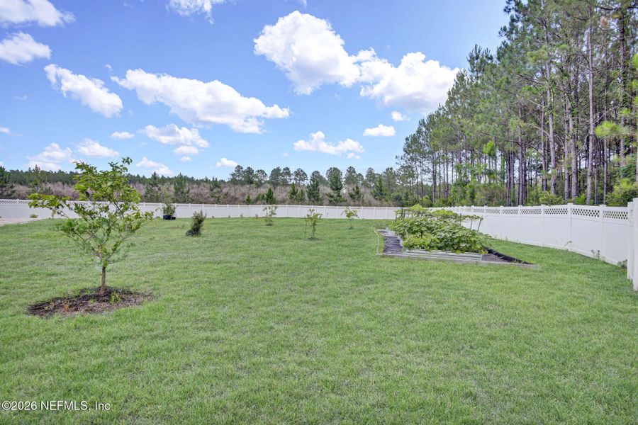 Natural landscape and outdoor views near in Jacksonville (Image 43). Natural landscape and outdoor views near in Jacksonville (Image 43).