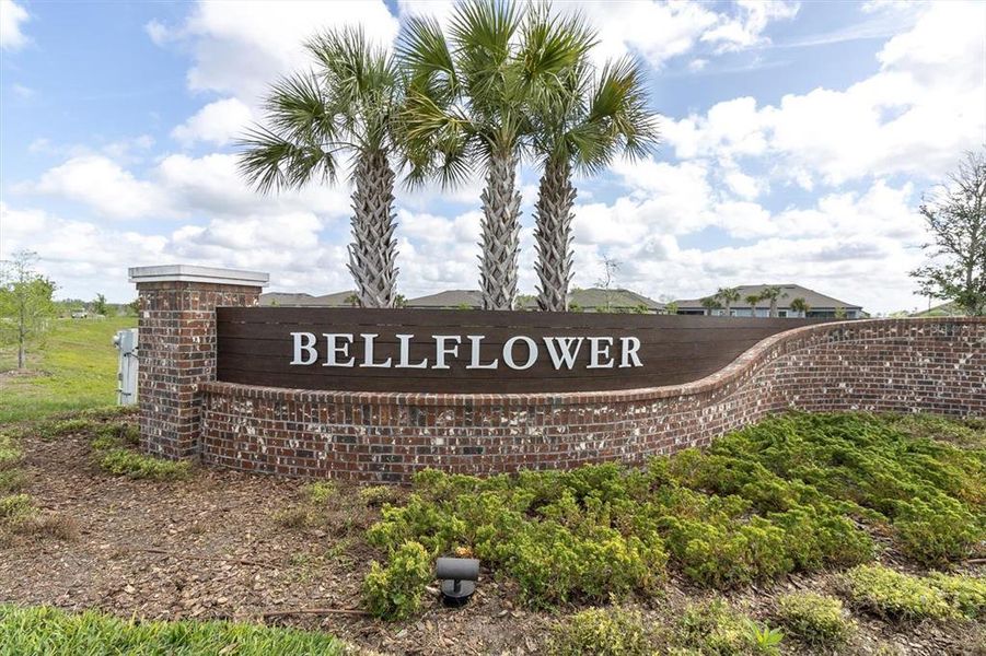Subdivision Entrance