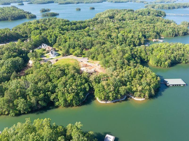 Natural landscape and outdoor views near White Post on Lake Lanier in Gainesville (Image 28).
