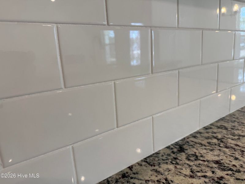 Close-up of interior finishes inside a home in East Lake, Leland (Image 15).