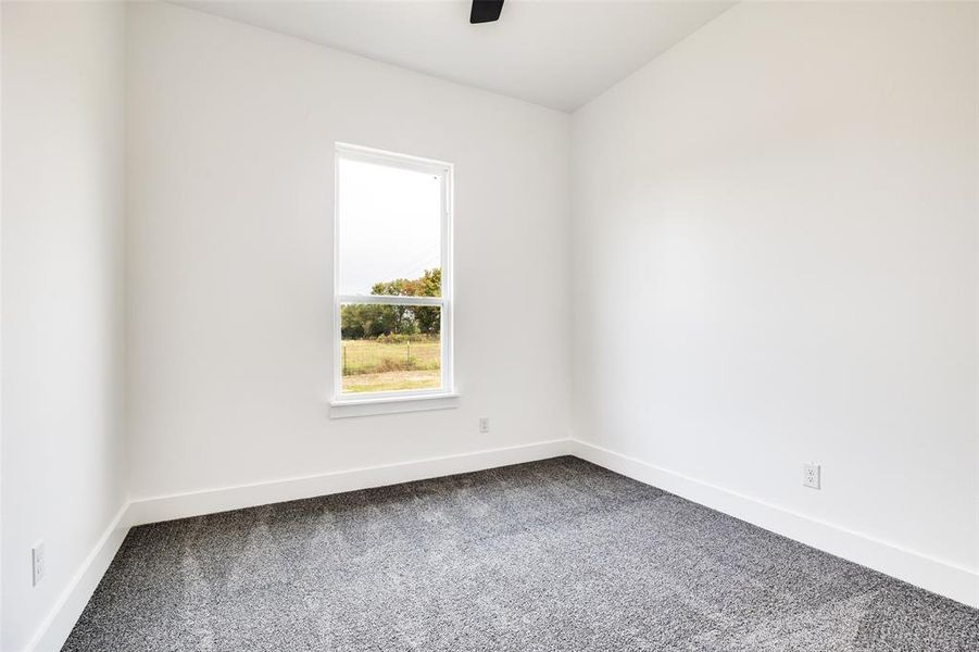 Empty room with carpet flooring Empty room with carpet flooring