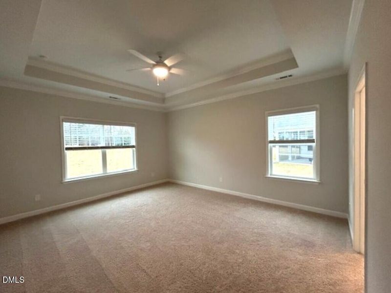 IMG_5031 (Medium) IMG_5031 (Medium)