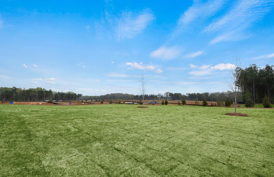 Outdoor and nature views near homes built from the Mitchell by Pulte Homes in Hawthorne Ridge, McDonough (Image 37). Outdoor and nature views near homes built from the Mitchell by Pulte Homes in Hawthorne Ridge, McDonough (Image 37).