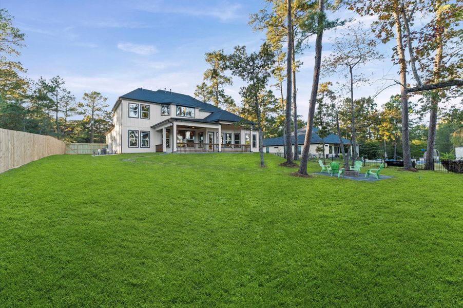 another view of the backyard