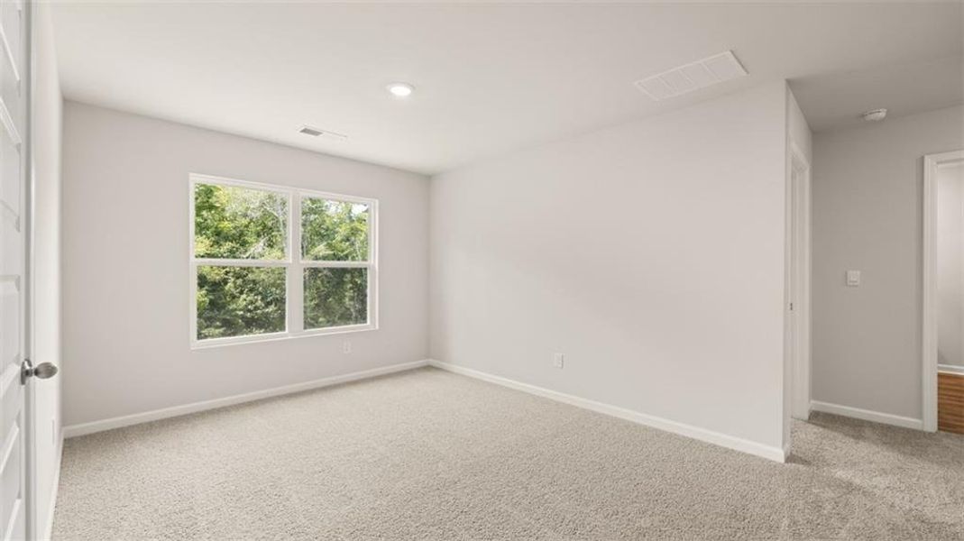 Spacious, unfurnished interior of a new home in Cedar Ridge - Locust Grove Station, Locust Grove (Image 19).