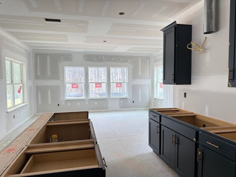 In-progress construction of a new home in The Point, Rolesville, NC (Image 12).