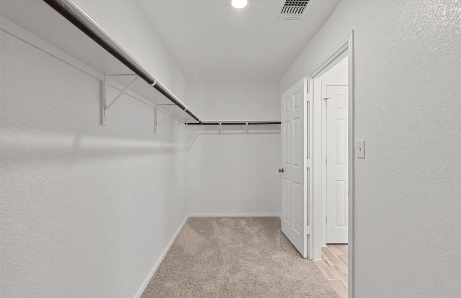 Spacious closet with light carpet Spacious closet with light carpet