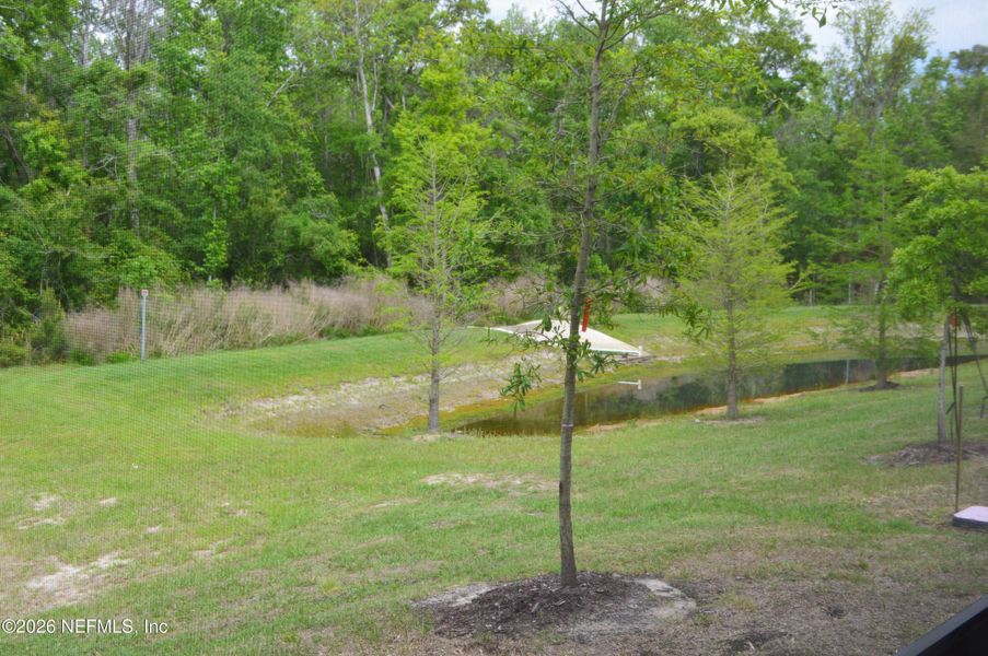 Natural landscape and outdoor views near  in St. Augustine (Image 27).