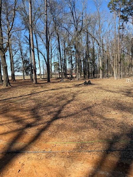 Natural landscape and outdoor views near  in Naples (Image 35).