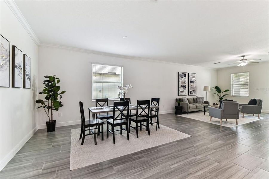 Furnished interior view inside a new home in , Land O' Lakes (Image 13).