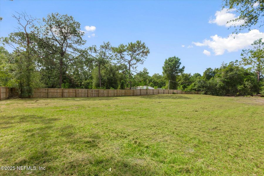 Natural landscape and outdoor views near  in Palatka (Image 29).