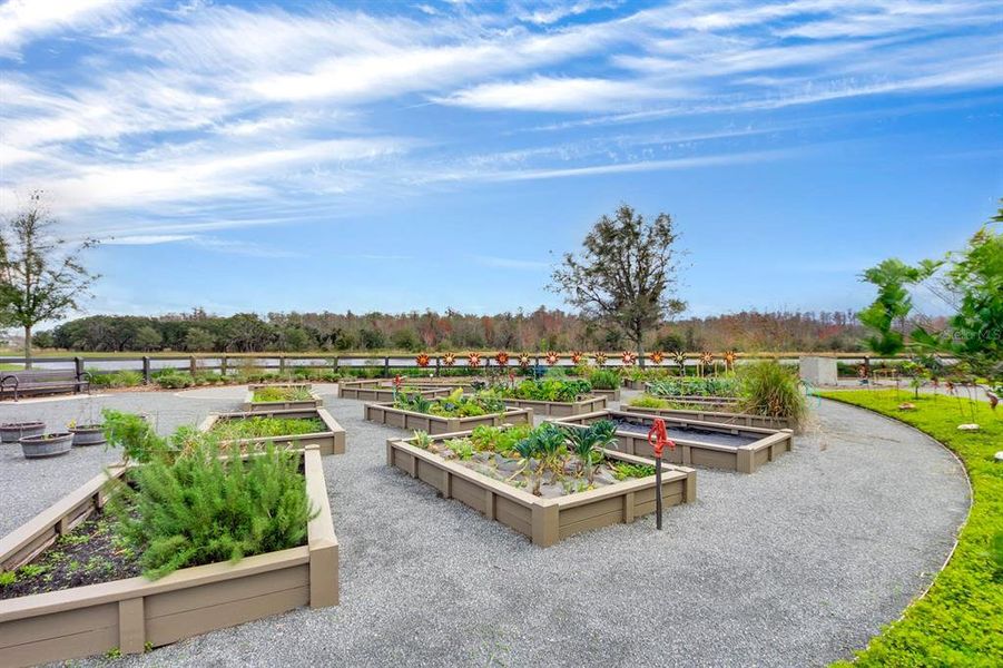 Community amenities in Laureate Park at Lake Nona - Garden Series, Orlando (Image 27).