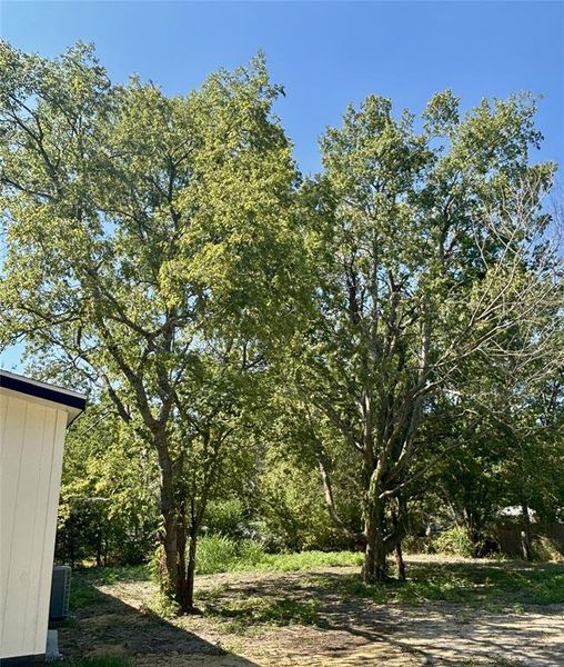 Front exterior of a new home in , Quinlan, TX, highlighting curb appeal (Image 24).