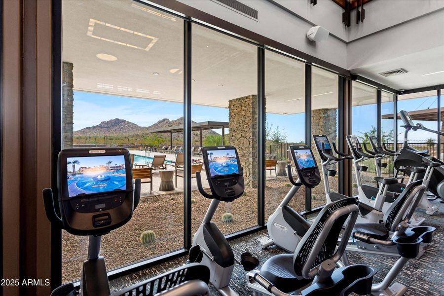 46-Saguaro-Sun City Festival 46-Saguaro-Sun City Festival