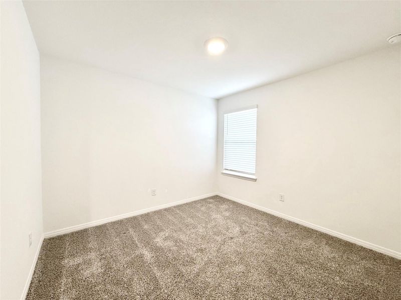Carpeted empty room with baseboards Carpeted empty room with baseboards