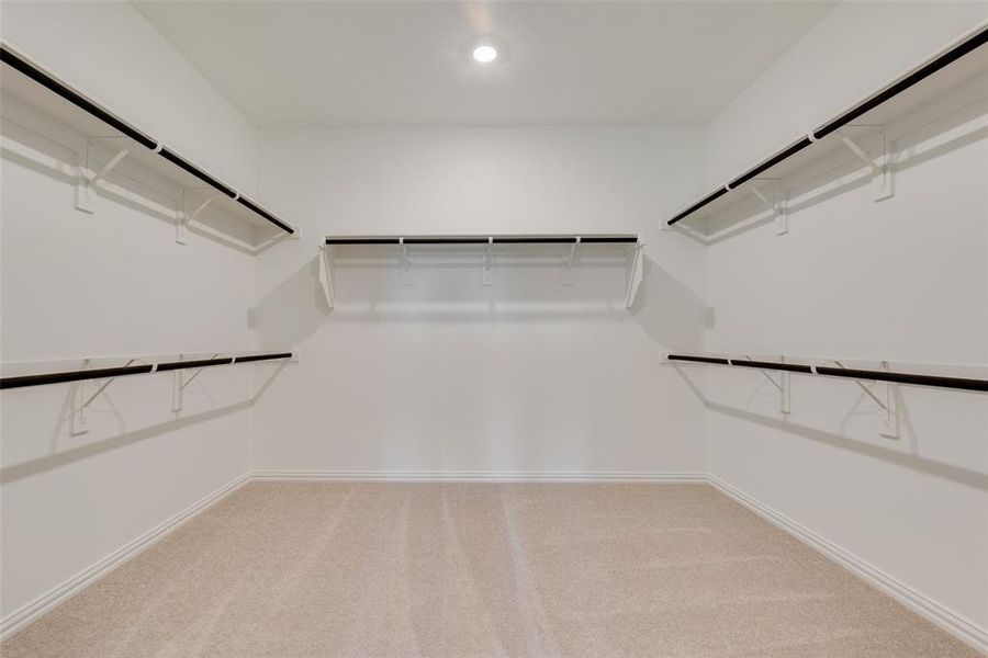 Spacious closet featuring carpet floors