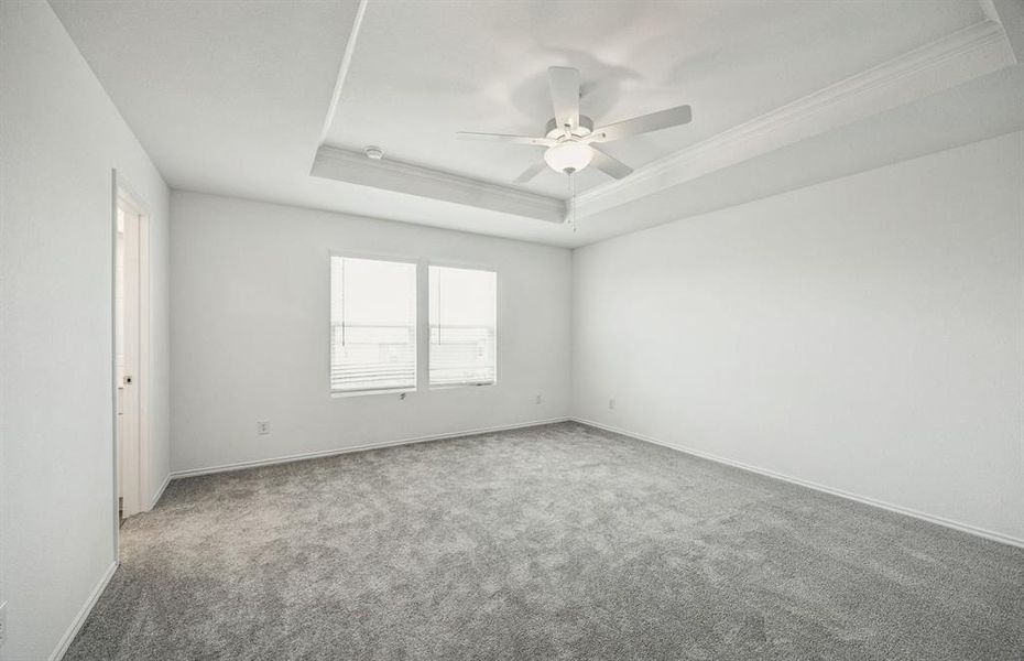 Elegant owner's suite with tray ceiling