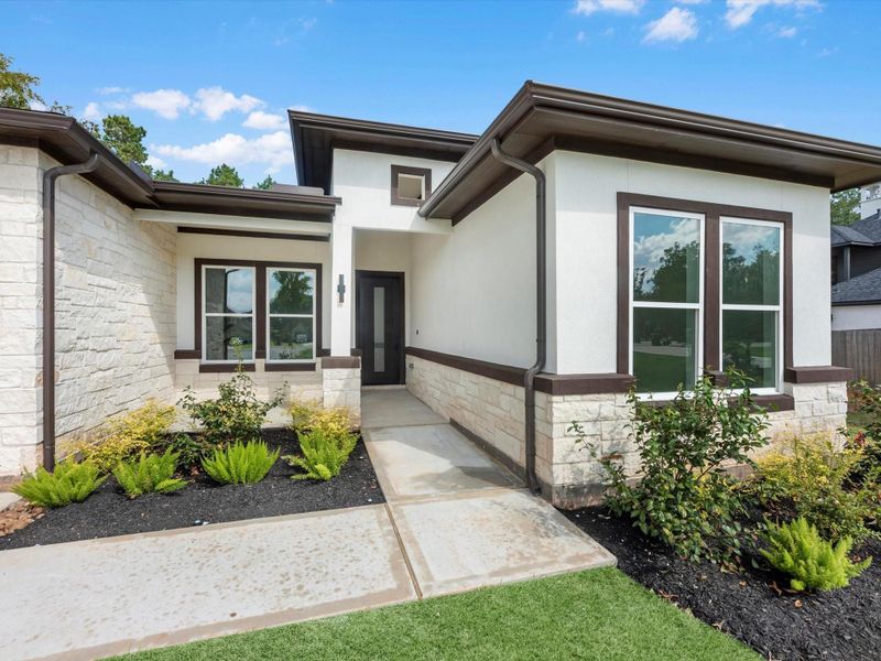 Elegant stucco elevation