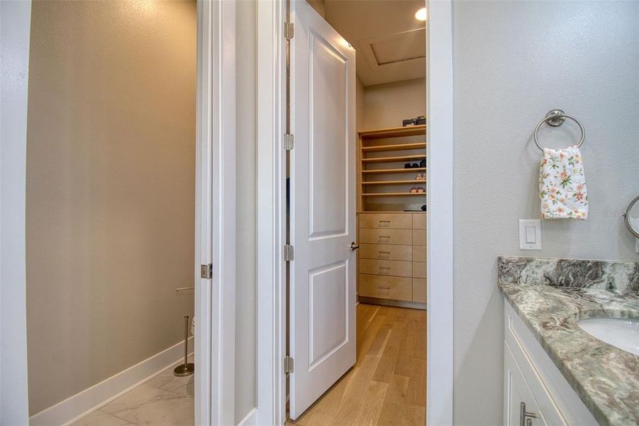 Furnished interior view inside a new home in , Dunedin (Image 34).