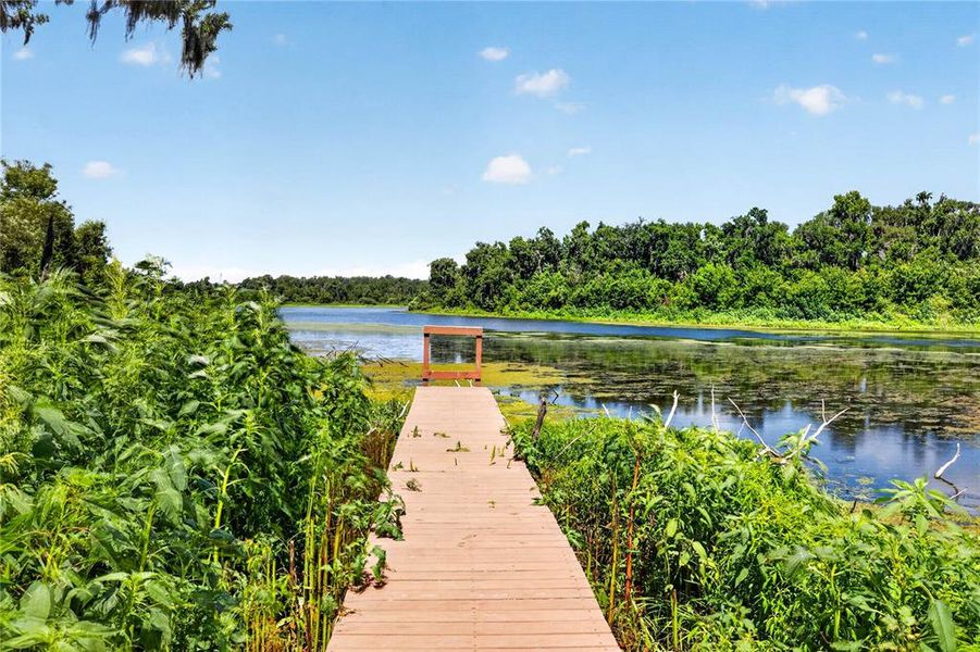 Natural landscape and outdoor views near  in Dade City (Image 59).