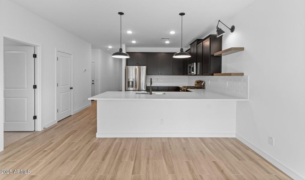 LS Lot #111 Kitchen (2) (Large) LS Lot #111 Kitchen (2) (Large)