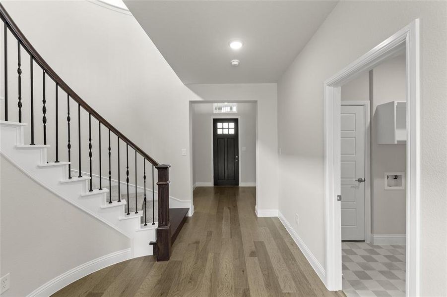 01_Grapevine II_Representative Photo